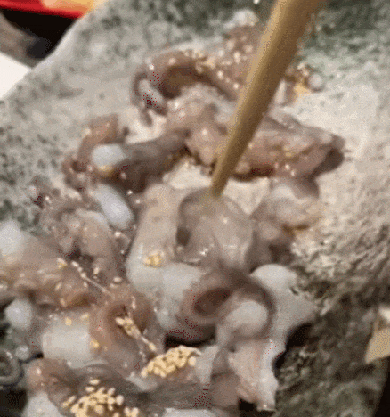 韩国老人吃活章鱼被噎死，残忍吃法惊呆外网..网友：恶有恶报（组图） - 5