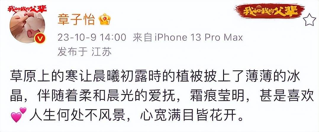 汪峰和章子怡最后一次合照，章子怡的姿势和表情，说明了一切（组图） - 5