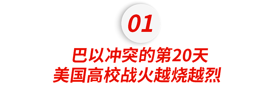 宾大、哈佛又遭殃！巴以冲突的战火在美国大学里越烧越旺……（组图） - 5