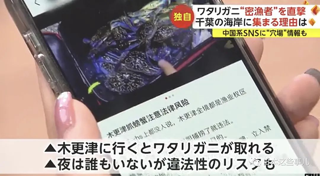 中国人组团到日本海域非法偷捞梭子蟹！被日本网友怒怼：不是抵制海鲜吗？（组图） - 18