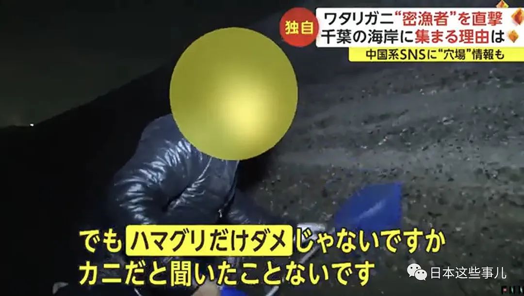 中国人组团到日本海域非法偷捞梭子蟹！被日本网友怒怼：不是抵制海鲜吗？（组图） - 14