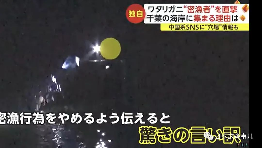 中国人组团到日本海域非法偷捞梭子蟹！被日本网友怒怼：不是抵制海鲜吗？（组图） - 13