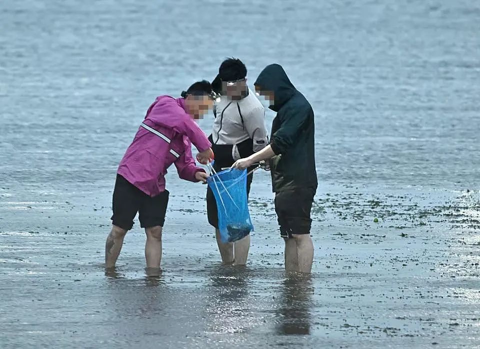 中国人组团到日本海域非法偷捞梭子蟹！被日本网友怒怼：不是抵制海鲜吗？（组图） - 2
