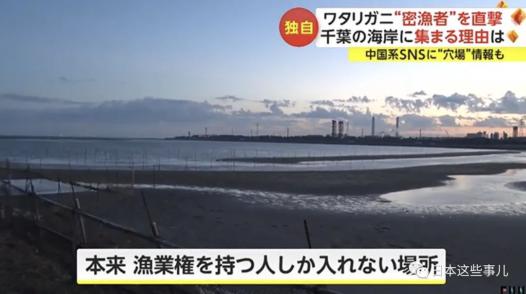 中国人组团到日本海域非法偷捞梭子蟹！被日本网友怒怼：不是抵制海鲜吗？（组图） - 11