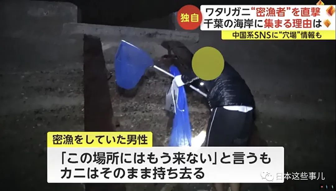 中国人组团到日本海域非法偷捞梭子蟹！被日本网友怒怼：不是抵制海鲜吗？（组图） - 19