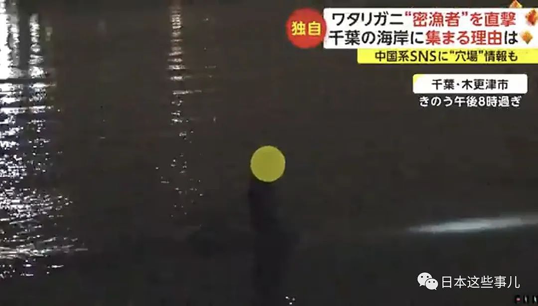 中国人组团到日本海域非法偷捞梭子蟹！被日本网友怒怼：不是抵制海鲜吗？（组图） - 3