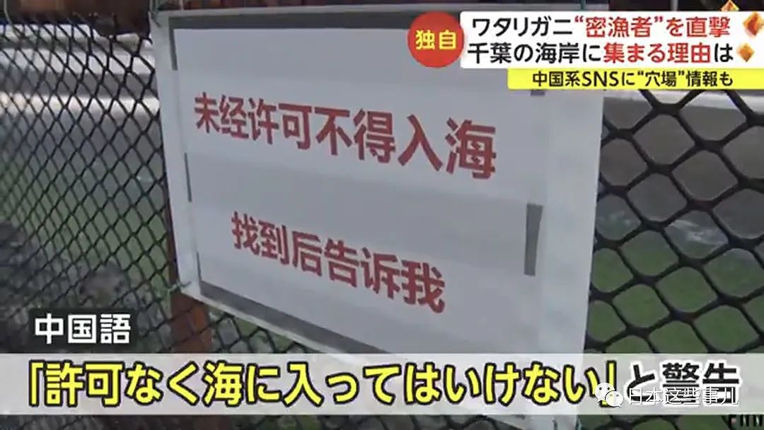 中国人组团到日本海域非法偷捞梭子蟹！被日本网友怒怼：不是抵制海鲜吗？（组图） - 12