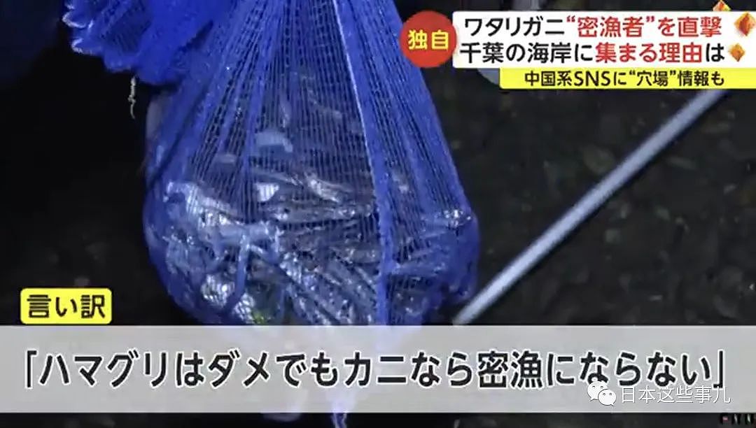 中国人组团到日本海域非法偷捞梭子蟹！被日本网友怒怼：不是抵制海鲜吗？（组图） - 15