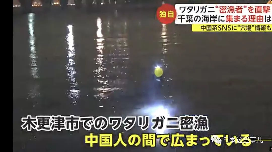 中国人组团到日本海域非法偷捞梭子蟹！被日本网友怒怼：不是抵制海鲜吗？（组图） - 16