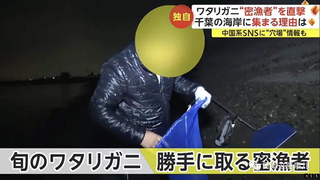 中国人组团到日本海域非法偷捞梭子蟹！被日本网友怒怼：不是抵制海鲜吗？（组图） - 5