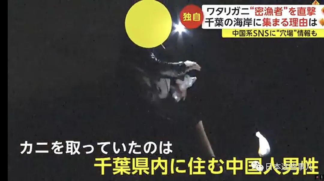 中国人组团到日本海域非法偷捞梭子蟹！被日本网友怒怼：不是抵制海鲜吗？（组图） - 8