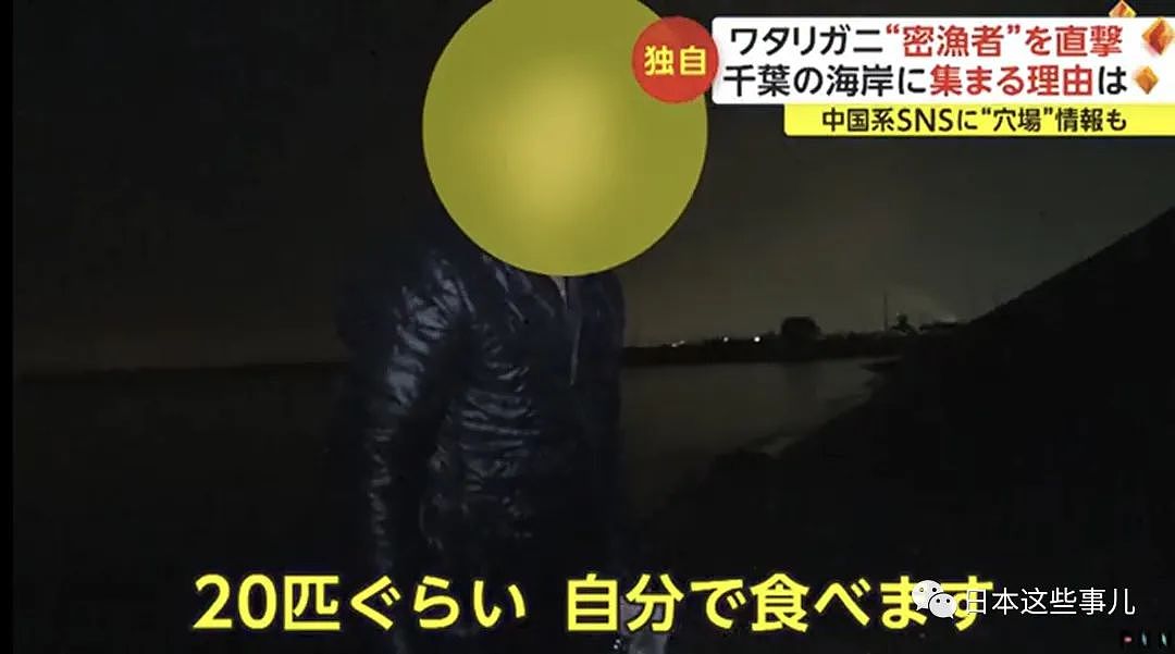中国人组团到日本海域非法偷捞梭子蟹！被日本网友怒怼：不是抵制海鲜吗？（组图） - 10
