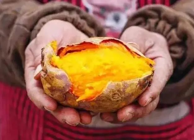 日本研究发现：红薯能消灭98%癌细胞，有科学依据吗？真相来了（组图） - 1