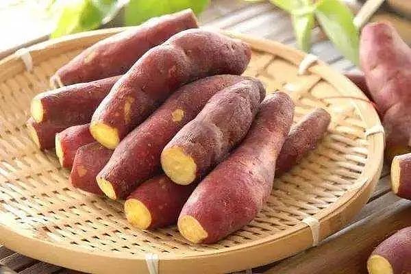 日本研究发现：红薯能消灭98%癌细胞，有科学依据吗？真相来了（组图） - 3