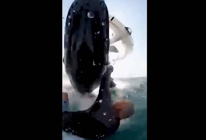 澳洲冲浪者遭鲸鱼跳跃撞入海里，惊险画面曝光（视频/图） - 1