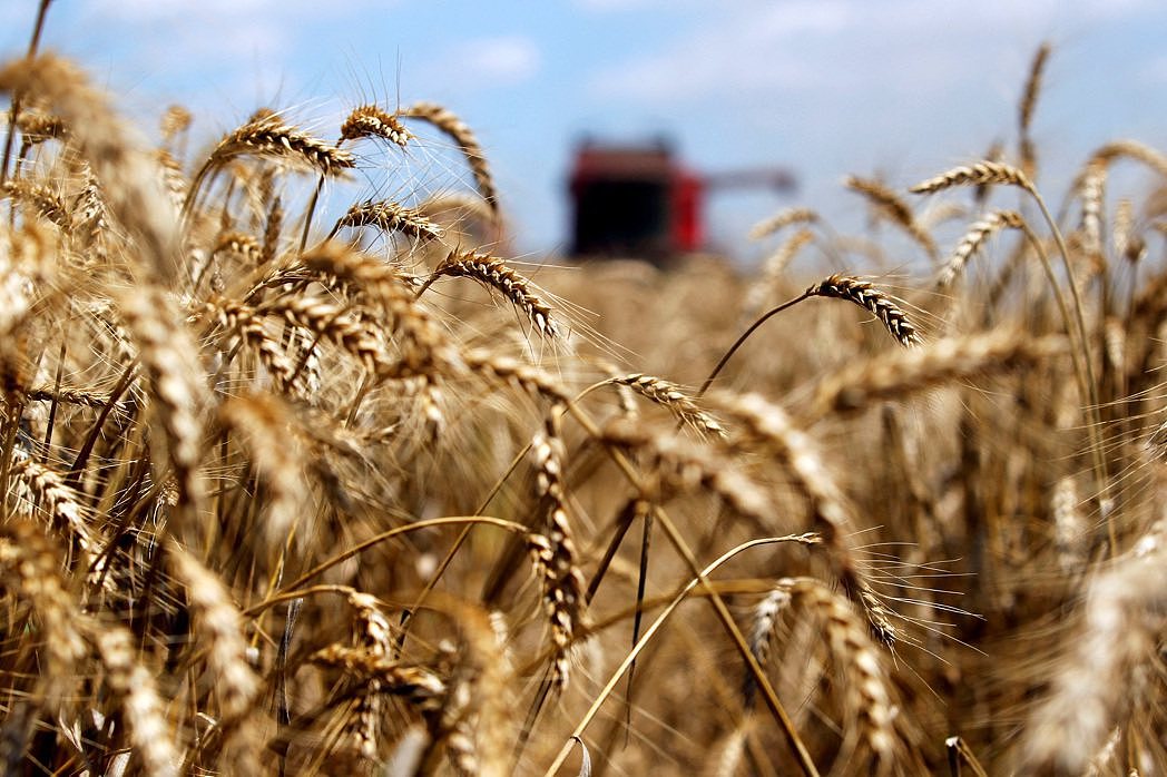 路透社：中国大买澳法2国小麦！今年进口量预料创新高（图） - 1