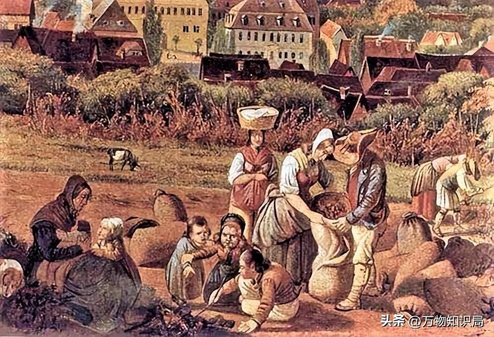 中国祖辈都在用的“粪水浇菜”，欧洲科学家却才发现，为什么（组图） - 27