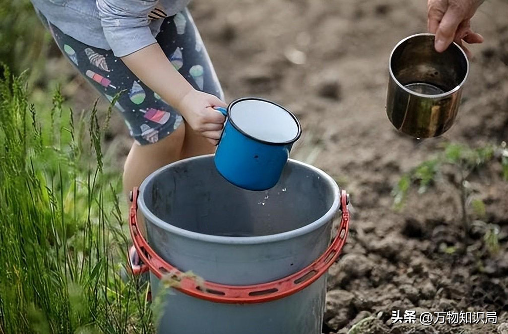 中国祖辈都在用的“粪水浇菜”，欧洲科学家却才发现，为什么（组图） - 14