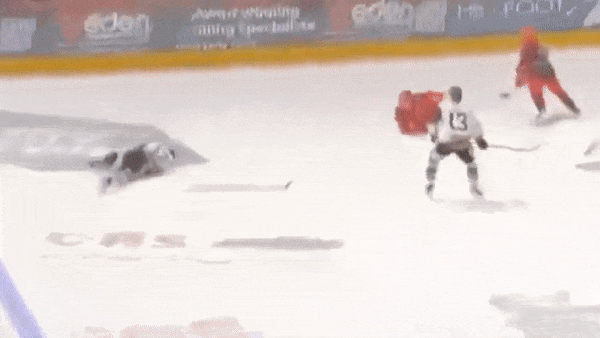 美国冰球员比赛中遭对手冰刀割喉身亡！网友：不是意外，是谋杀（视频/组图） - 4