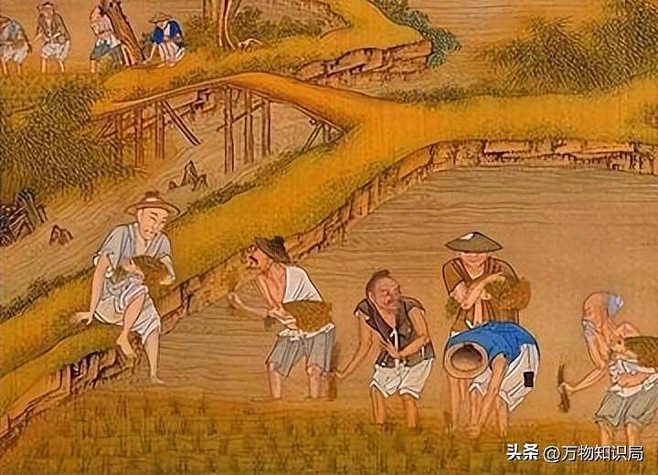中国祖辈都在用的“粪水浇菜”，欧洲科学家却才发现，为什么（组图） - 7