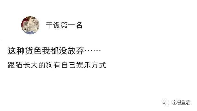 【爆笑】“上海万圣节cos有多有梗？”网友：关晓彤、王菲、那英在寄律师函了（组图） - 18