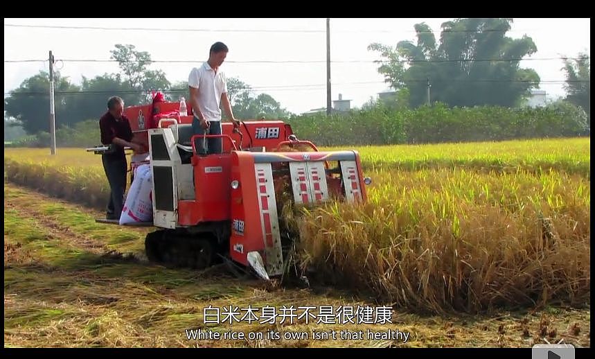 震三观！大米不健康，泡菜更有营养？BBC纪录片盘点全球最不健康饮食方式，中国的饮食习惯中了好多箭（组图） - 78