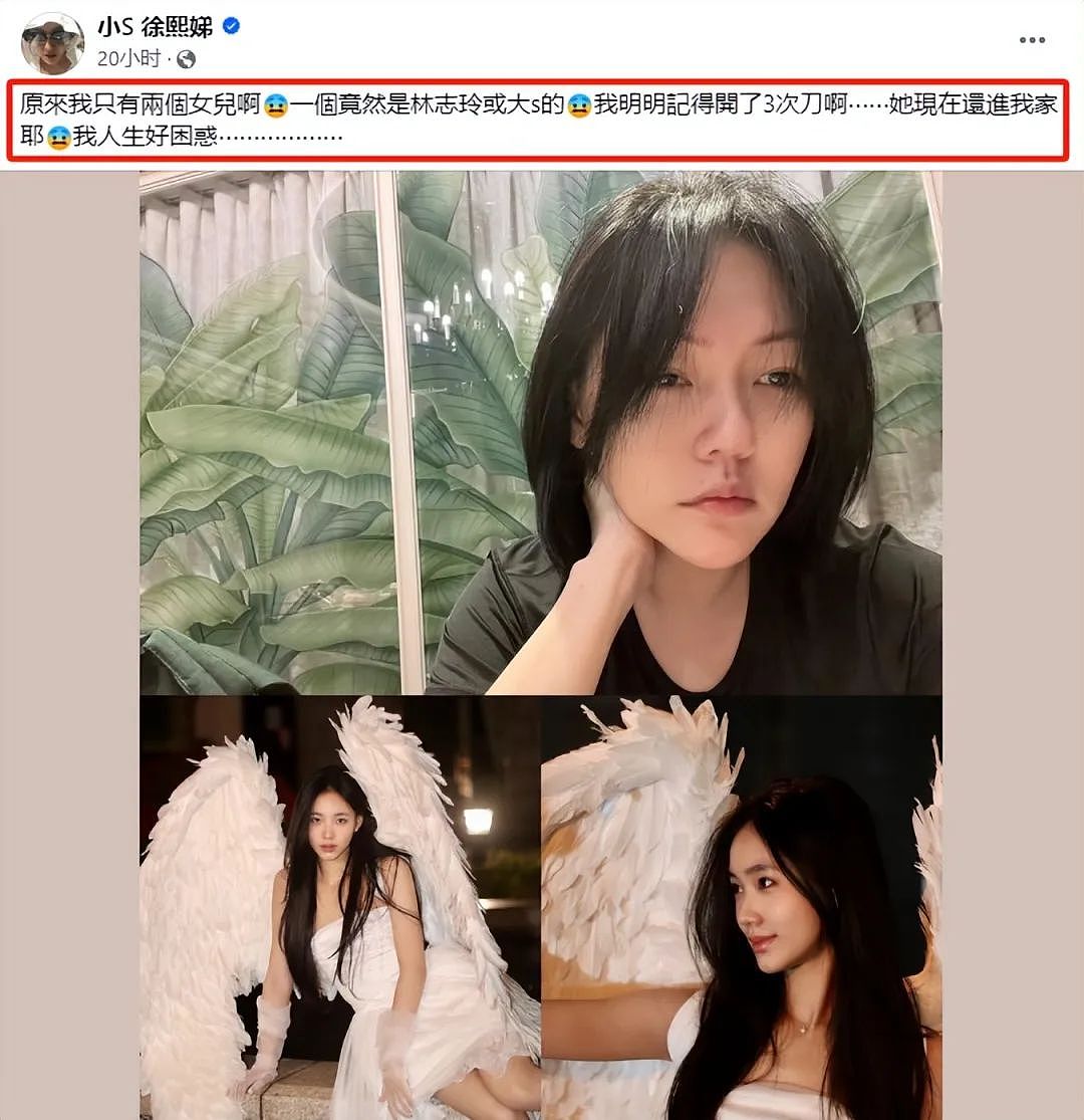 小S一家又翻车了？强捧女儿进娱乐圈，蹭林志玲热度被骂翻（组图） - 5