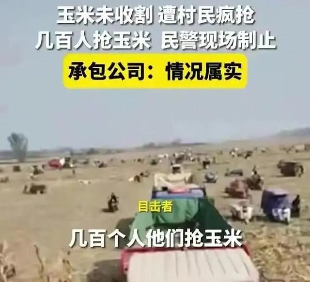 媒体：药材遭上百村民哄抢，但我相信河南农民是善良的（组图） - 2