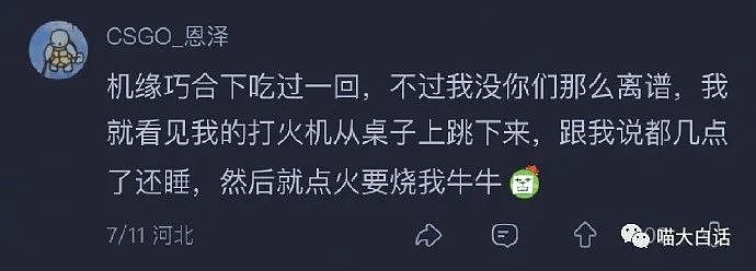 【爆笑】“你拍的什么X毛照片？”哈哈哈哈哈哈千万不要随便给领导拍照（组图） - 47