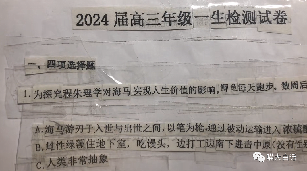 【爆笑】“你拍的什么X毛照片？”哈哈哈哈哈哈千万不要随便给领导拍照（组图） - 13