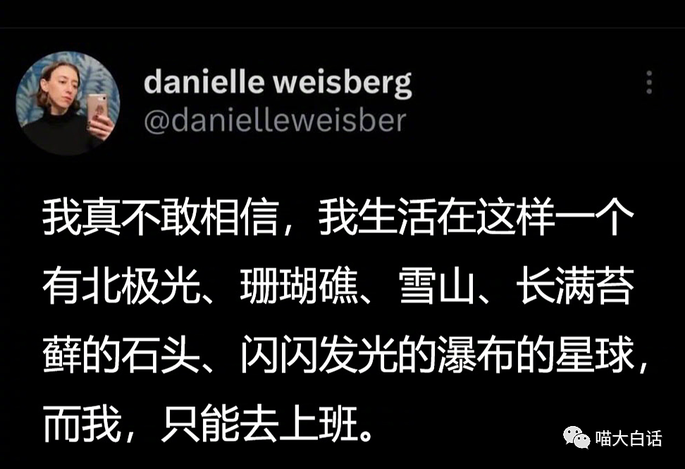 【爆笑】“你拍的什么X毛照片？”哈哈哈哈哈哈千万不要随便给领导拍照（组图） - 28