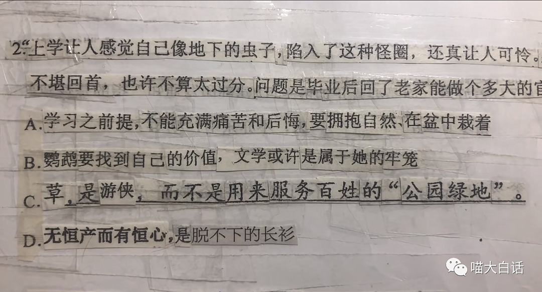 【爆笑】“你拍的什么X毛照片？”哈哈哈哈哈哈千万不要随便给领导拍照（组图） - 16