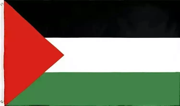外网疯传关二爷支持巴勒斯坦，网友：以色列疯了（组图） - 4
