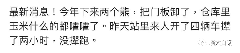 【爆笑】“你拍的什么X毛照片？”哈哈哈哈哈哈千万不要随便给领导拍照（组图） - 23