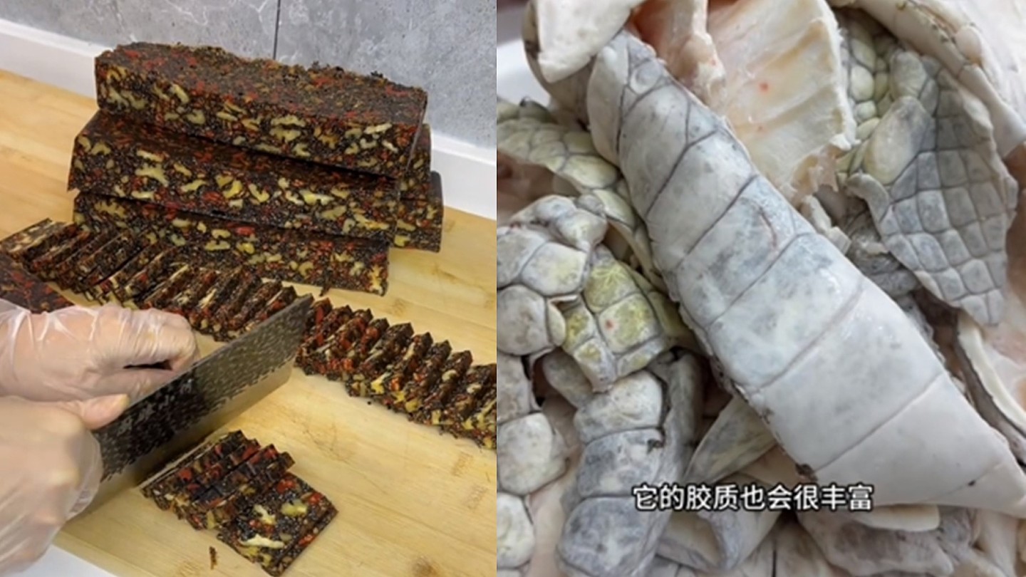 中国网红杀90公斤鳄鱼！扒皮、熬油、烹饪后被骂爆，回应称“是它们使命”（组图） - 2