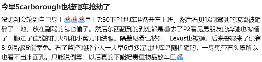 停车场20多辆车被砸！中国留学生哭晕：大牌包包直接掳走，连打火机都不放过...（组图） - 10