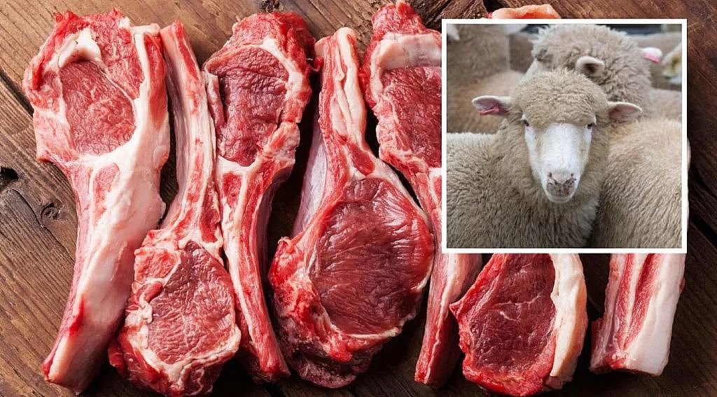 澳羊肉价格暴跌！羊群数量达历史最高，农民直接在农场屠杀（组图） - 1