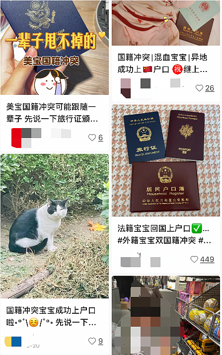 华人回国探亲，回新西兰时孩子被拦下，不让登机！澳洲宝妈社媒分享关键在旅行签证...（组图） - 6