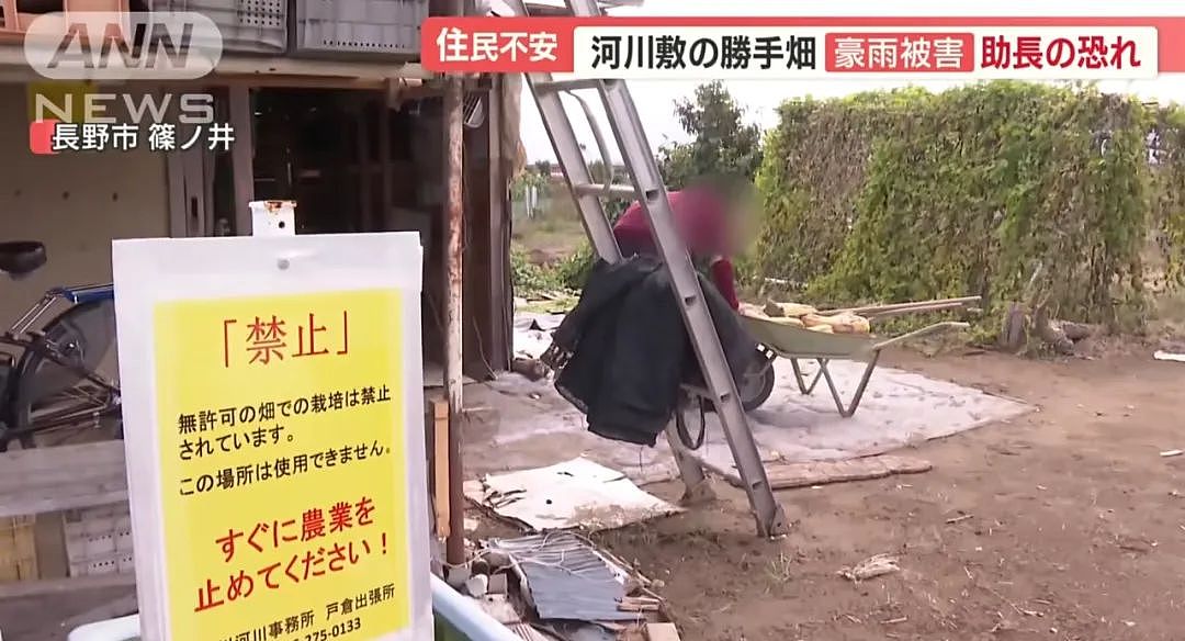 中国大爷大妈组团到日本非法种菜，有人用20年将国有河道种成“开心农场”…（组图） - 9