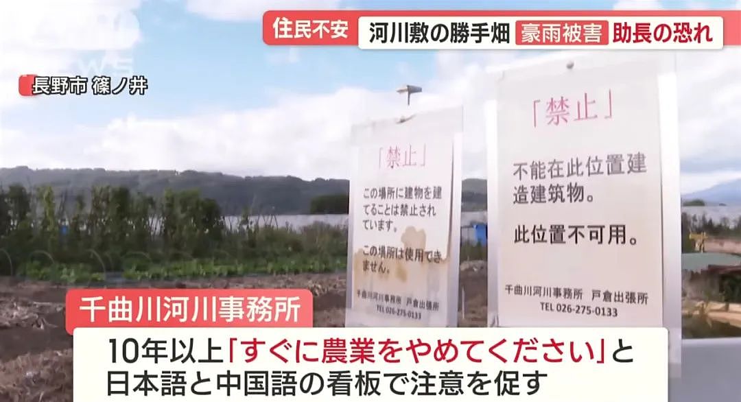 中国大爷大妈组团到日本非法种菜，有人用20年将国有河道种成“开心农场”…（组图） - 10