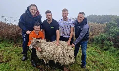 “英国最孤独的羊“困陡峭悬崖2年后终被救，动保组织却出来抗议？（组图） - 5