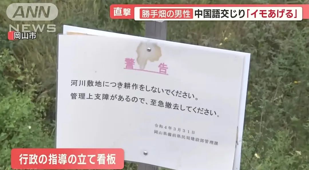 中国大爷大妈组团到日本非法种菜，有人用20年将国有河道种成“开心农场”…（组图） - 21