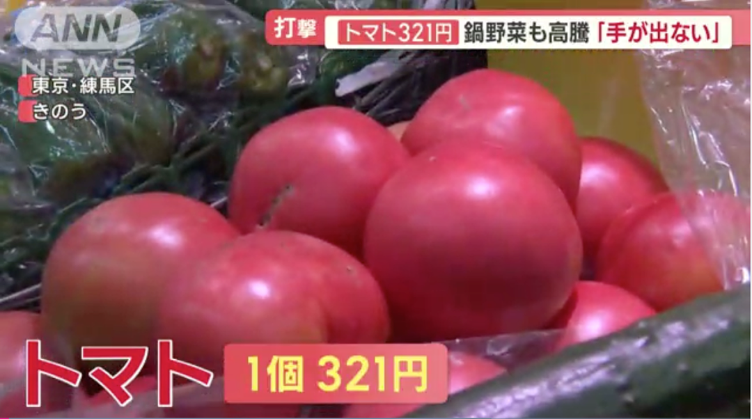 中国大爷大妈组团到日本非法种菜，有人用20年将国有河道种成“开心农场”…（组图） - 3