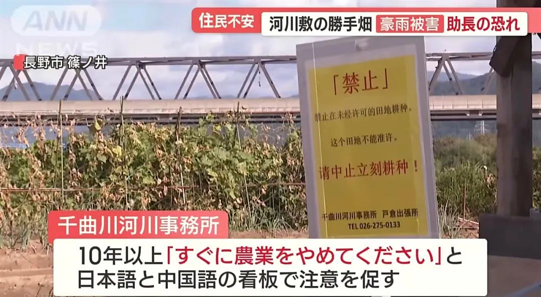 中国大爷大妈组团到日本非法种菜，有人用20年将国有河道种成“开心农场”…（组图） - 17