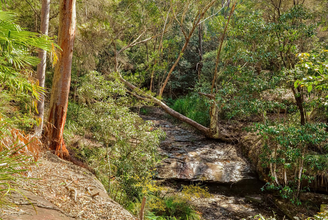 交易 | 新南威尔士州Koolewong三层别墅＄125万售出，坐享溪流和瀑布美景！（组图） - 6