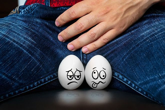 【健康】男性的蛋蛋为啥一高一低？这么重要的器官为什么不“藏深”一点（组图） - 1