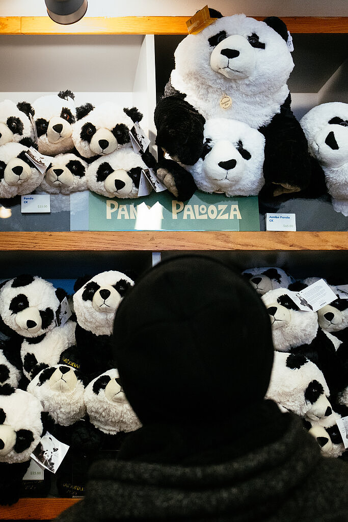 纽时：华盛顿大熊猫“美香”一家返回中国，熊猫外交时代结束了吗（组图） - 4