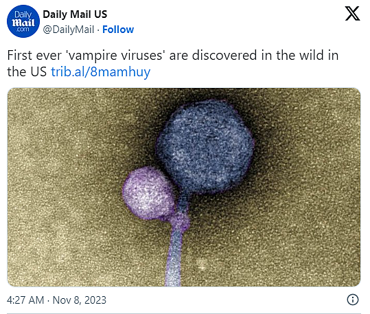 美国首度发现“吸血鬼病毒” 寄生状态曝光！学者超震撼（组图） - 2