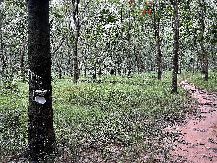 “生殖器上涂抹风油精、辣椒水”！海南重犯王仕高自述刑讯逼供细节（组图） - 7