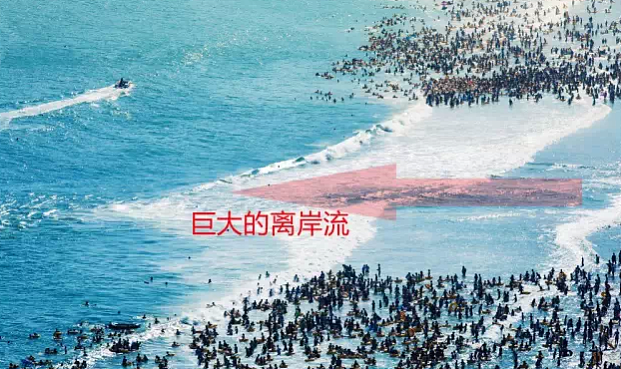悲剧！又有中国公民在澳溺亡，领事馆发文提醒，下海千万注意“隐形杀手”（组图） - 22